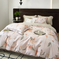 100 count Lenzing Tencel 100% four-piece set 18