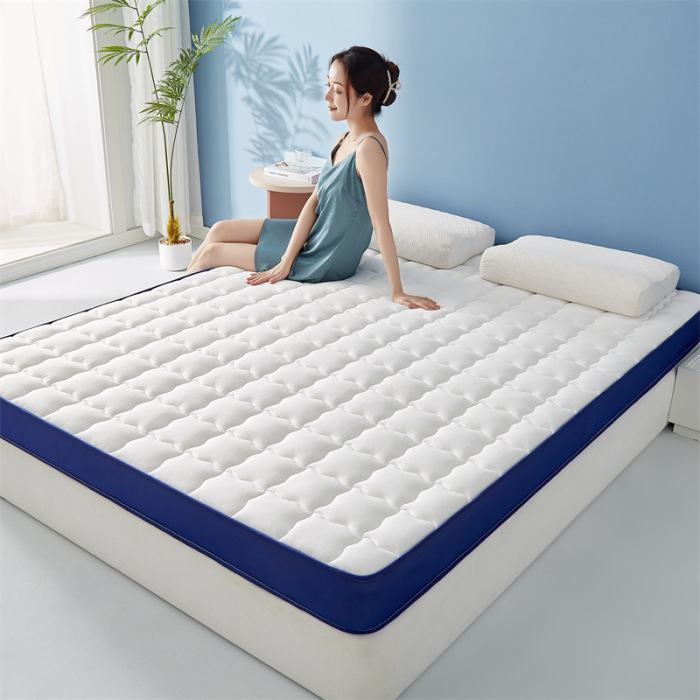 Hyaluronic acid soy antibacterial mattress 45