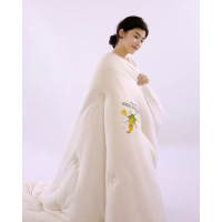 Thickened warm quilt core corn fiber quilt 58